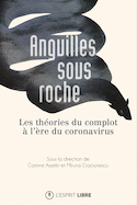 Anguilles sous roche